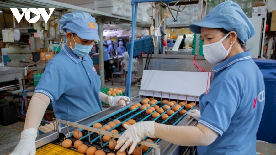 Vietnam Manufacturing PMI keeps growth momentum in third quarter